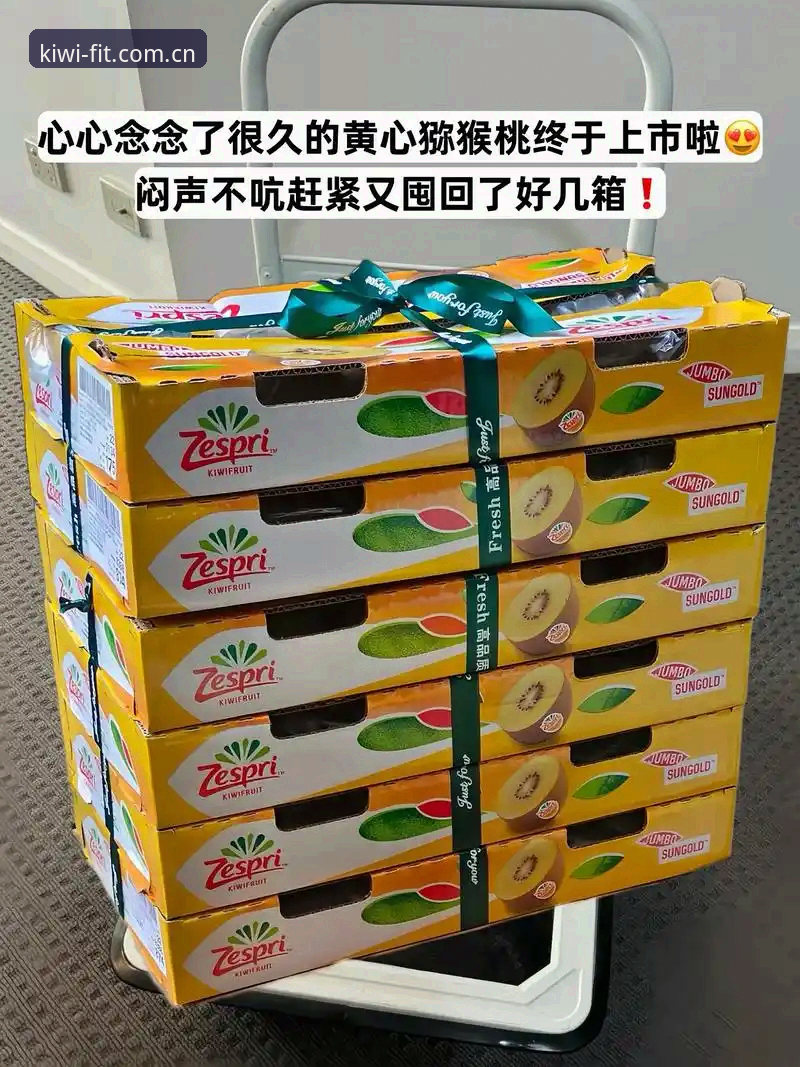 奇异果体育2025安装包：v3.0.0 vs 旧版：46.5MB升级背后的全面对比