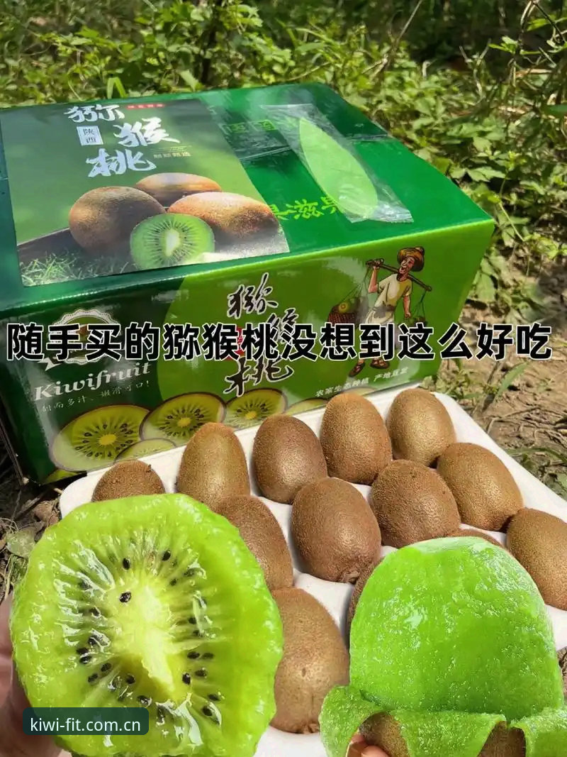 奇异果体育移动端教程 奇异果体育移动端教程:新手必备的2025新版安装与使用技巧
