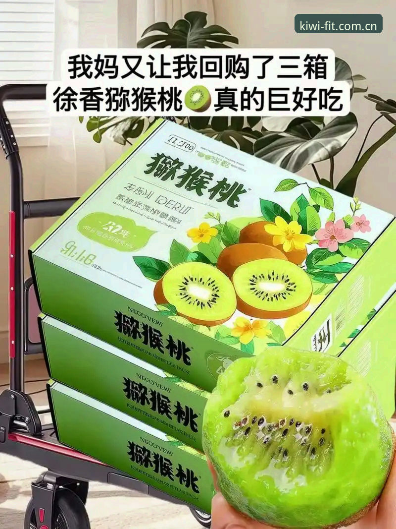 奇异果体育靠谱吗官方下载 奇异果体育平台安全性深度剖析:2025新版官方下载路径全面解析